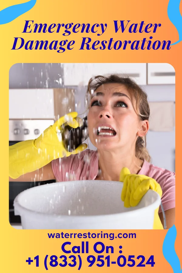 Emergency Water Damage Restoration in Newton, NC
