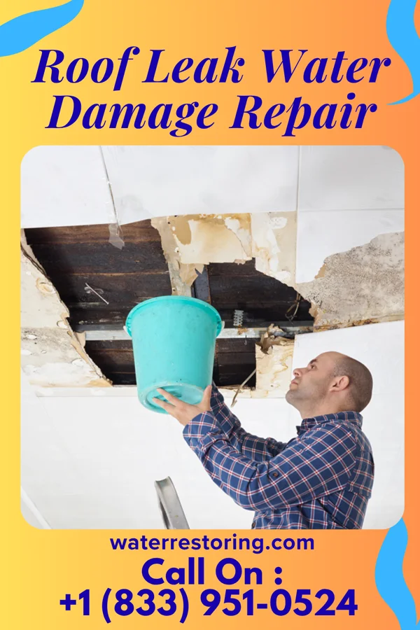 Roof Leak Water Damage Repair in Newton, NC