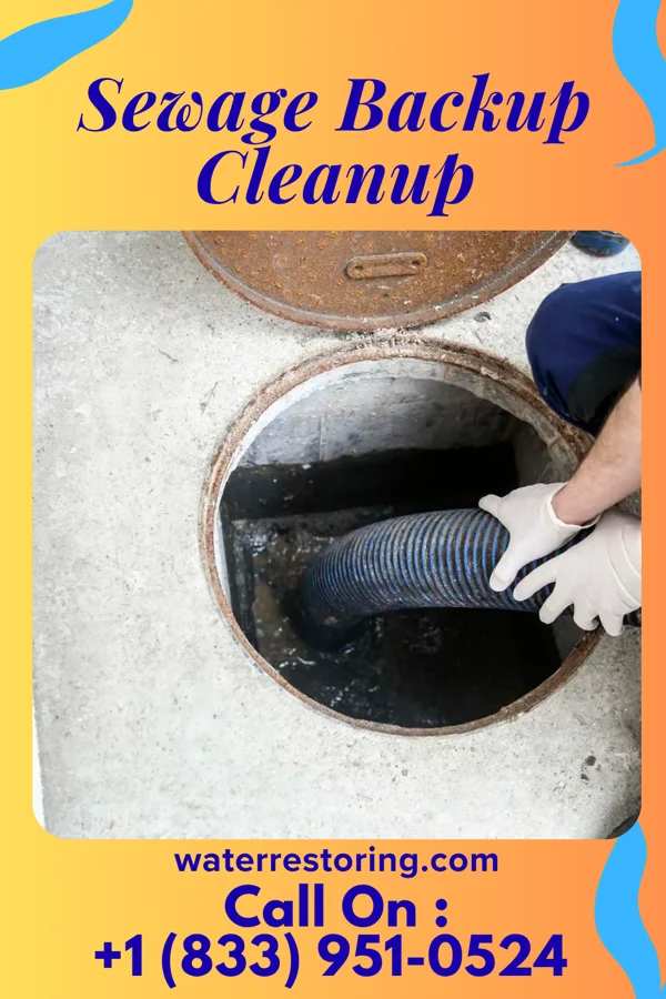 Sewage Backup Cleanup in Newton, NC